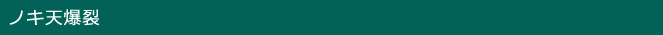 ノキ天爆裂

